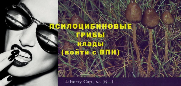 сатива Белокуриха