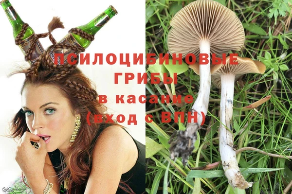 сатива Белокуриха