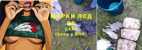 сатива Белокуриха