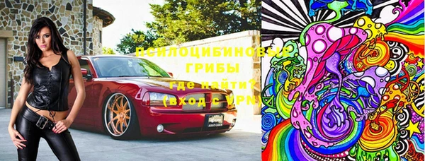 сатива Белокуриха