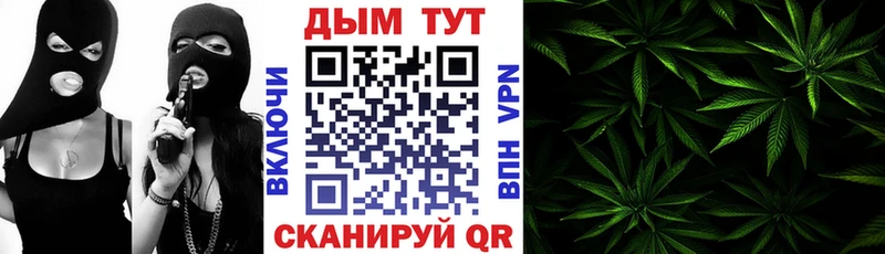 Бошки марихуана SATIVA & INDICA  наркошоп  Вольск 